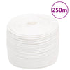 Vidaxl -Bootseil 10 mm 250 m Polypropylen Voll weiß