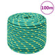 Vidaxl -Bootseil 12 mm 100 m Polypropylengrün