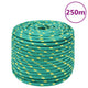 Vidaxl -Bootseil 12 mm 250 m Polypropylengrün