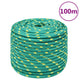 Vidaxl -Bootseil 14 mm 100 m Polypropylengrün