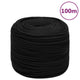 Vidaxl Werkouw 6 mm 100 m Polyesterschwarz