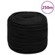 Vidaxl Werkouw 6 mm 250 m Polyesterschwarz