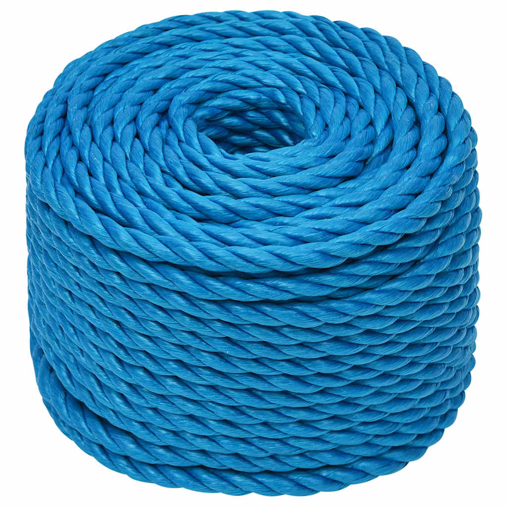 Vidaxl Werkouw 10 mm 50 m Polypropenblau