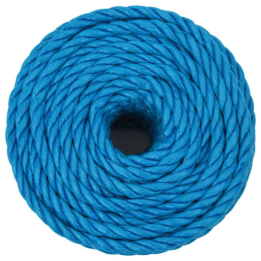Vidaxl Werkouw 10 mm 50 m Polypropenblau