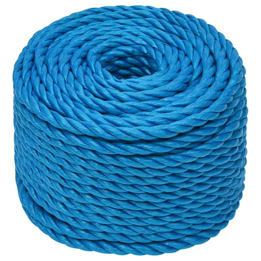 Vidaxl Werkouw 24 mm 100 m Polypropenblau