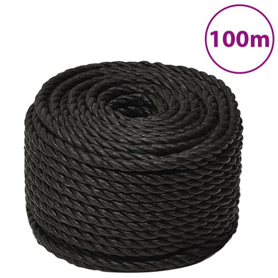 Vidaxl Werkouw 10 mm 100 m Polypropenschwarz