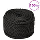 Vidaxl Werkouw 10 mm 100 m Polypropenschwarz