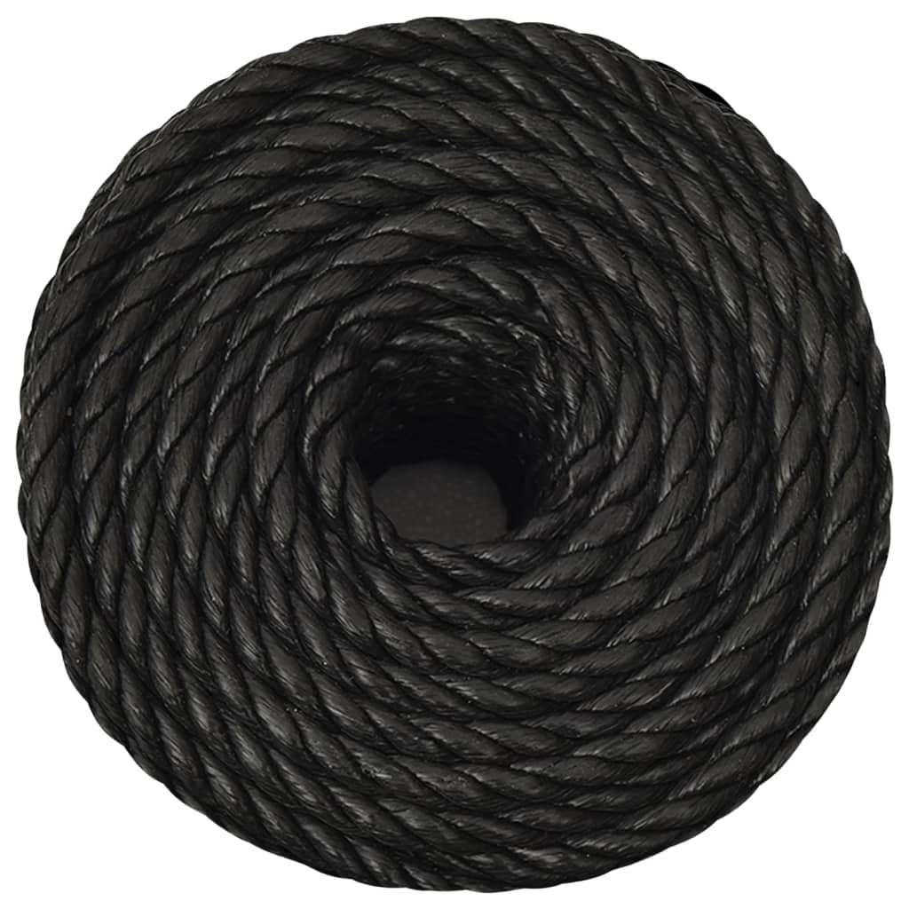 Vidaxl Werkouw 10 mm 100 m Polypropenschwarz