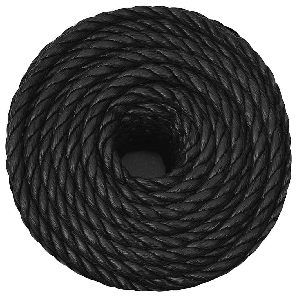 Vidaxl Werkouw 10 mm 500 m Polypropenschwarz