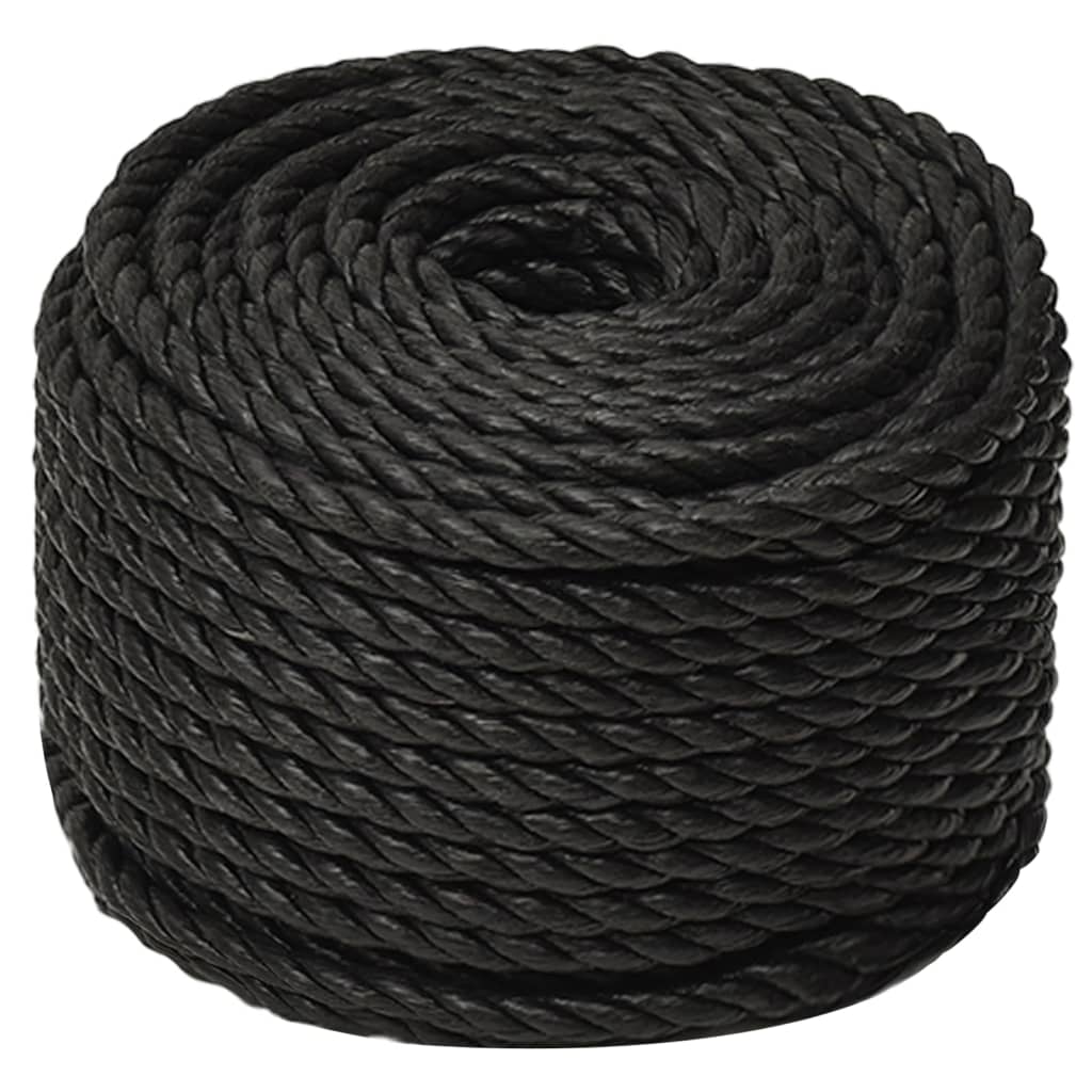 Vidaxl Werkouw 12 mm 100 m Polypropenschwarz