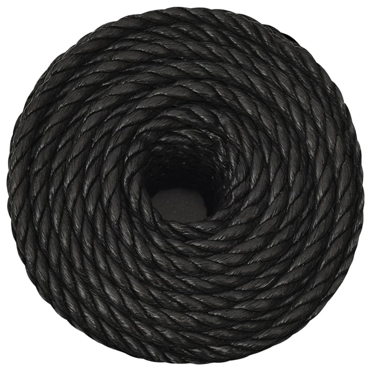 Vidaxl Werkouw 12 mm 500 m Polypropenschwarz