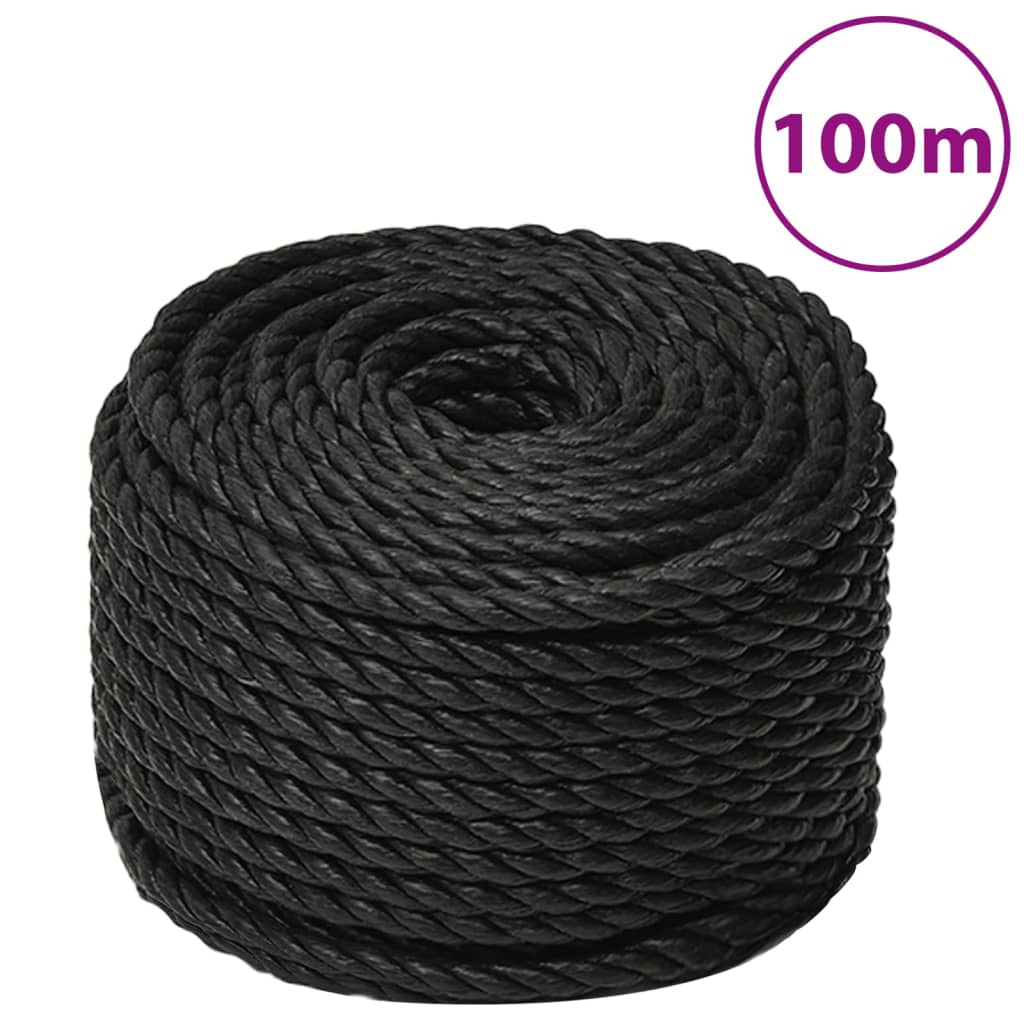 Vidaxl Werkouw 24 mm 100 m Polypropenschwarz