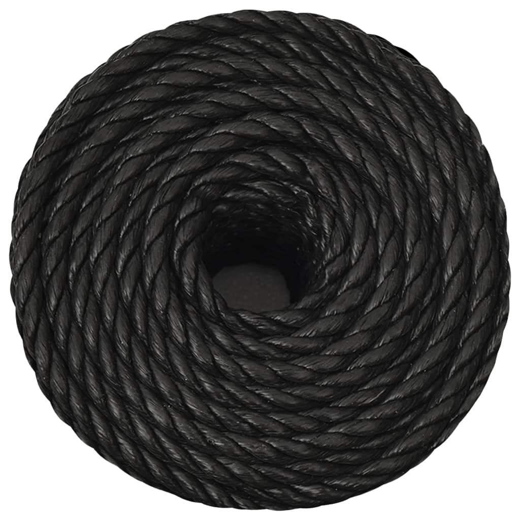 Vidaxl Werkouw 24 mm 100 m Polypropenschwarz