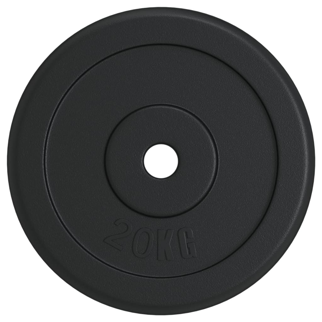 VIDAXL -Halfterscheibe 20 kg Gusseisen