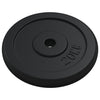 VIDAXL -Halfterscheibe 20 kg Gusseisen