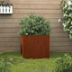 VIDAXL -Pflanzer 32x30x29 cm Corten Stahl