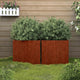 VIDAXL -Pflanzer 2 ST 42x40x39 cm Cortenstaal