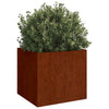 VIDAXL -Planungsbox 49x47x46 cm cortenstaal