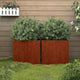 VIDAXL -Pflanzer 2 ST 49x47x46 cm cortenstaal