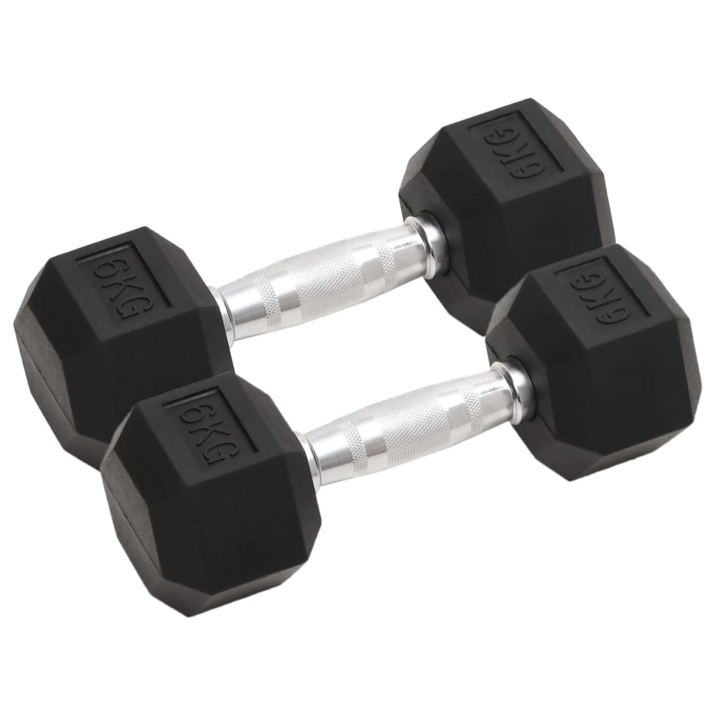 Vidaxl -Halter 2 PCs 12 kg Gusseisen