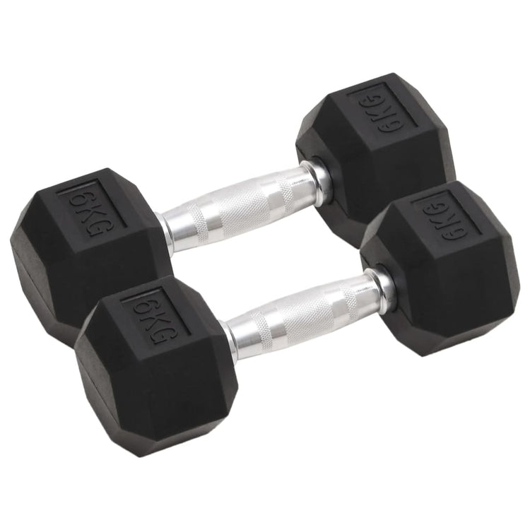Vidaxl -Halter 2 PCs 12 kg Gusseisen