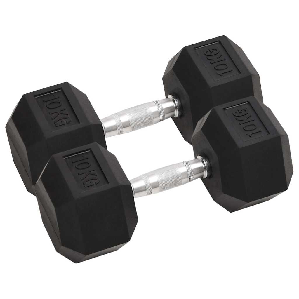 Vidaxl Halker 2 ST 20 kg Gusseisen