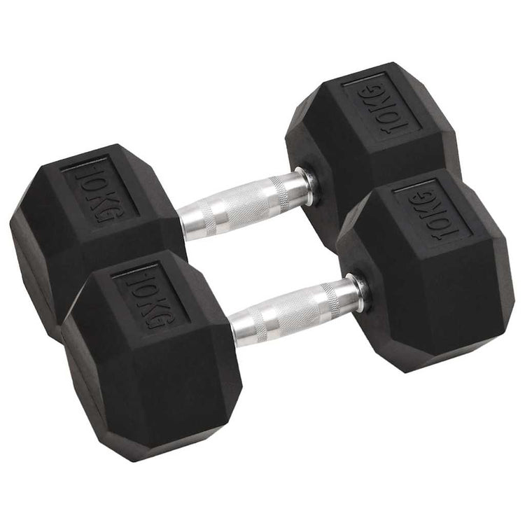 Vidaxl Halker 2 ST 20 kg Gusseisen