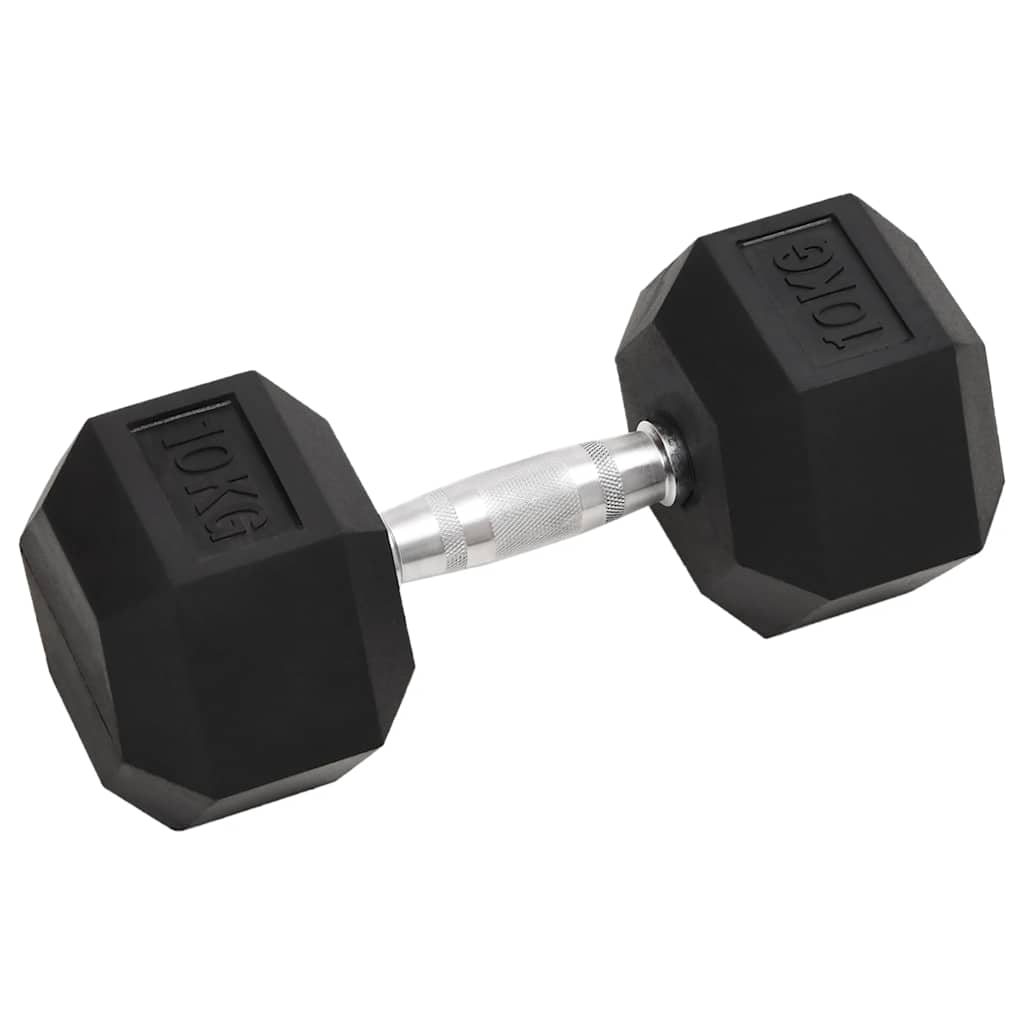 Vidaxl Halker 2 ST 20 kg Gusseisen