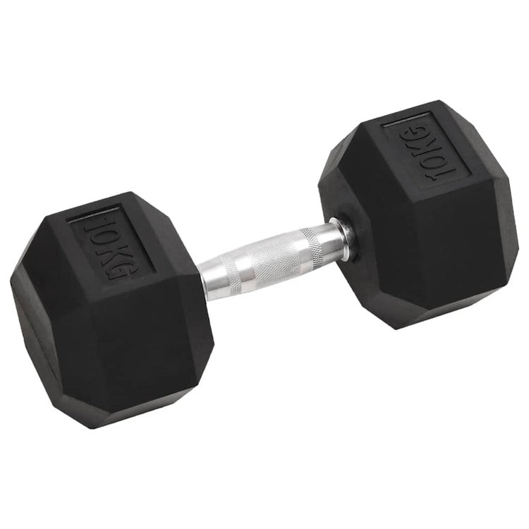 Vidaxl Halker 2 ST 20 kg Gusseisen