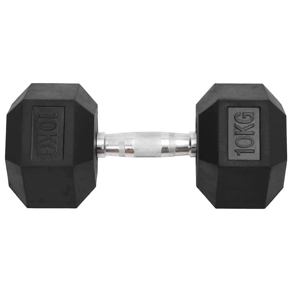 Vidaxl Halker 2 ST 20 kg Gusseisen
