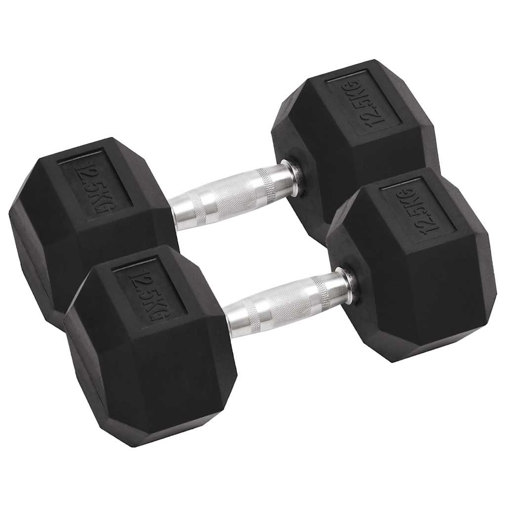 Vidaxl Halter 2 St 25 kg Gusseisen