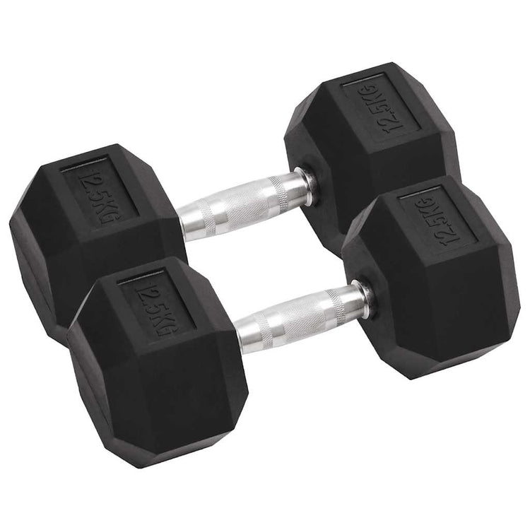 Vidaxl Halter 2 St 25 kg Gusseisen