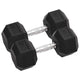 Vidaxl Halter 2 St 25 kg Gusseisen