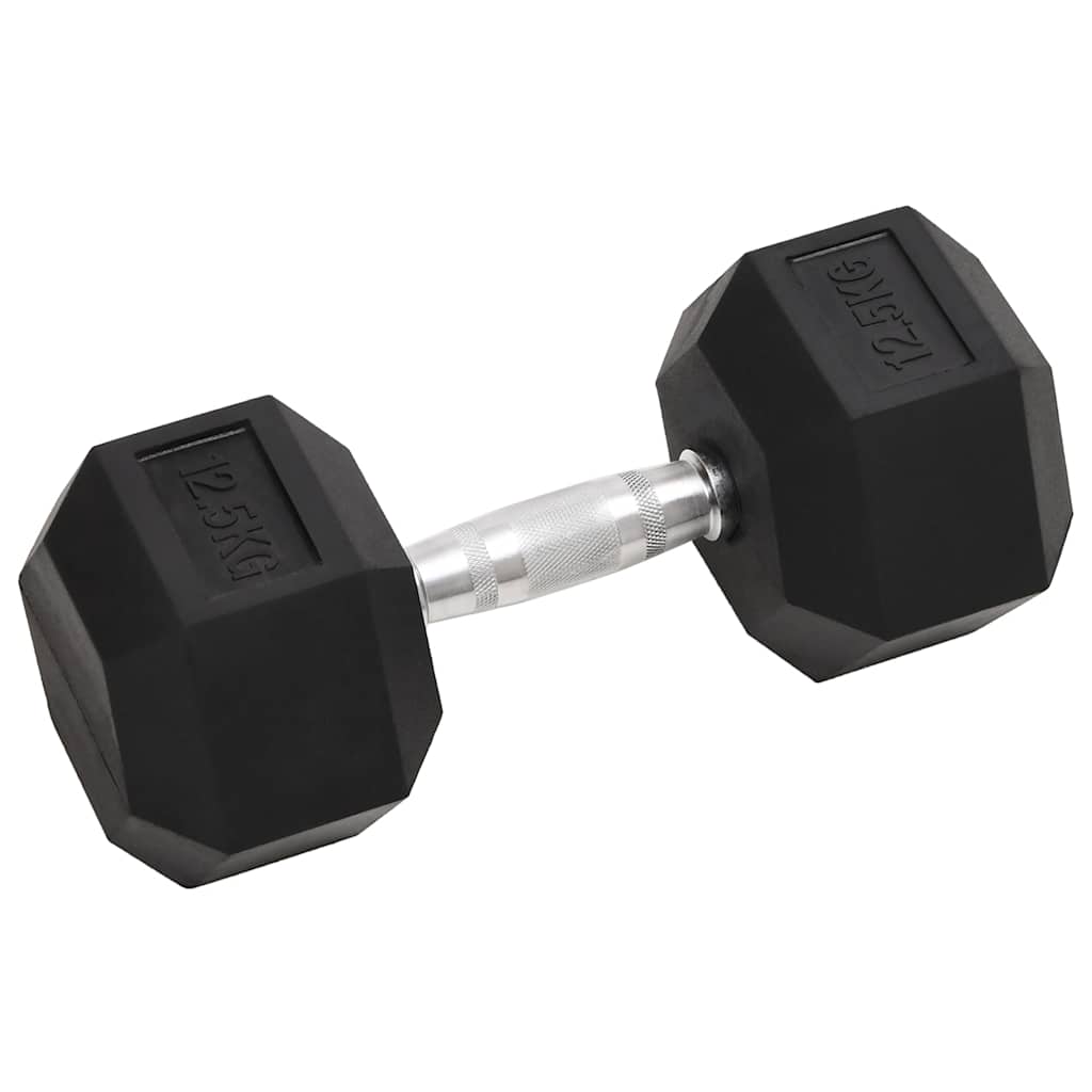 Vidaxl Halter 2 St 25 kg Gusseisen