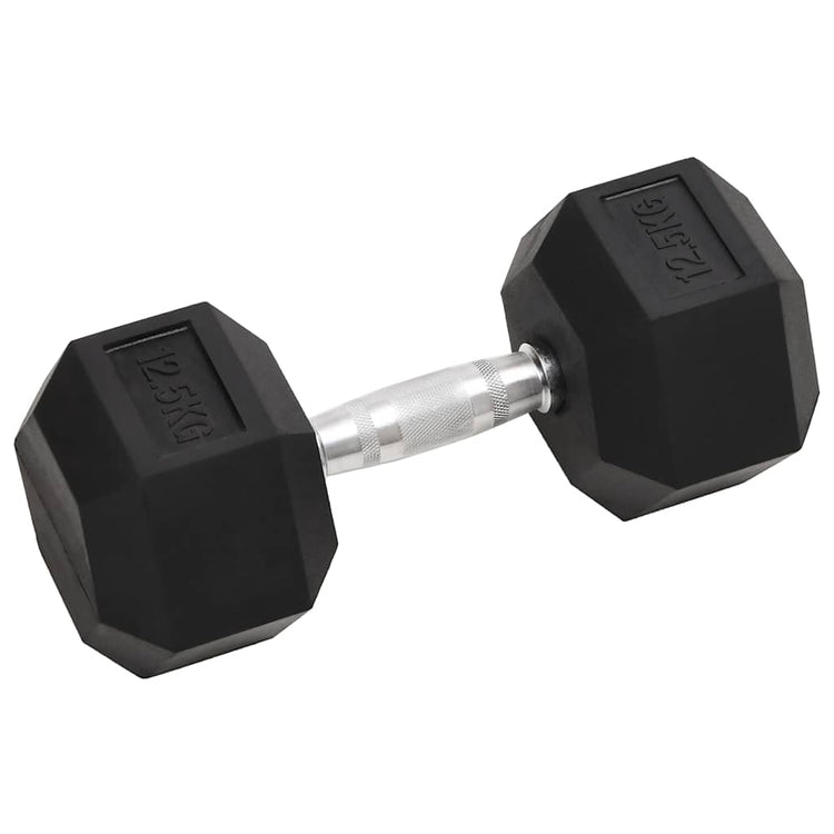 Vidaxl Halter 2 St 25 kg Gusseisen