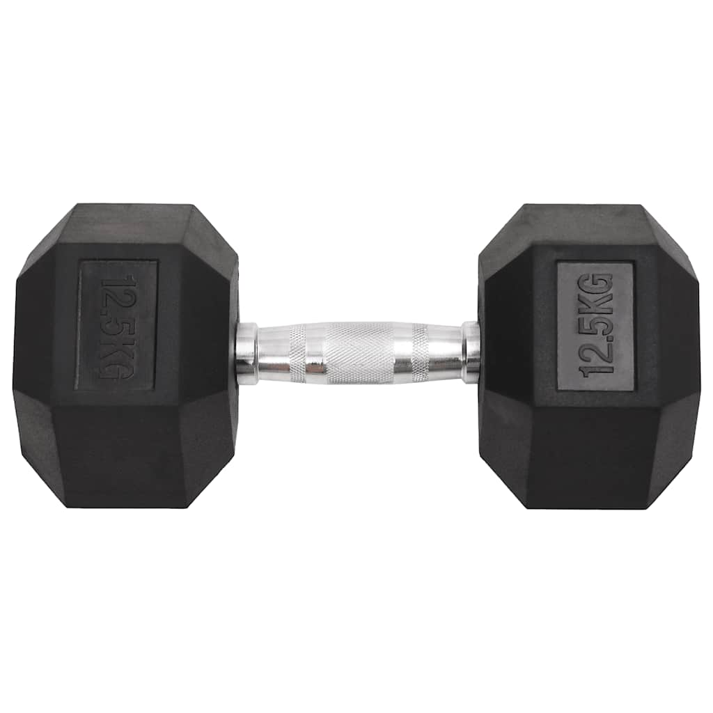 Vidaxl Halter 2 St 25 kg Gusseisen