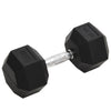 Vidaxl -Halter 22,5 kg Gusseisen