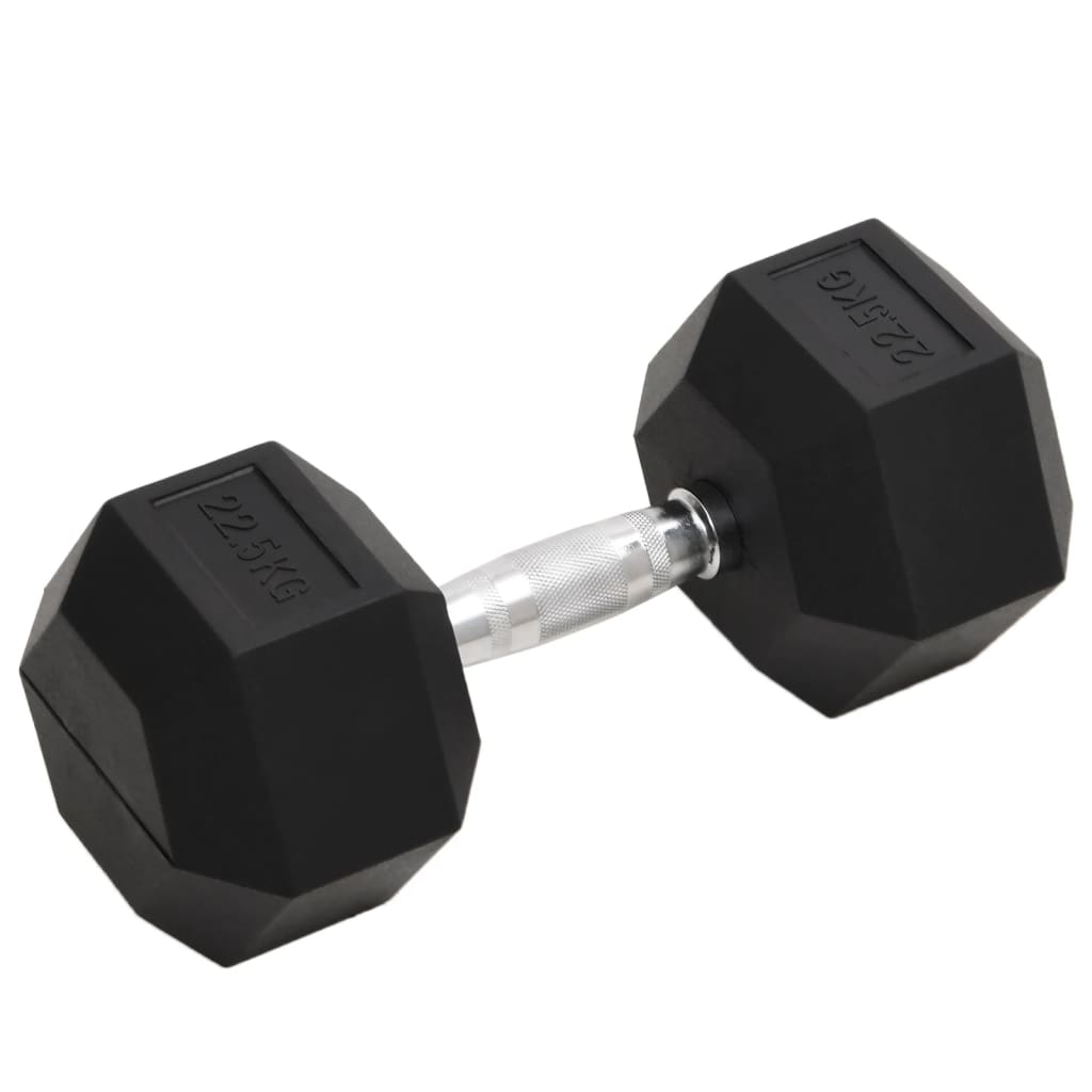 Vidaxl -Halter 22,5 kg Gusseisen