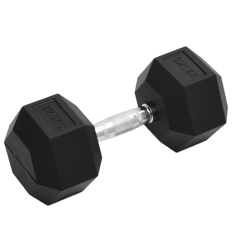 Vidaxl -Halter 22,5 kg Gusseisen