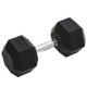 Vidaxl -Halter 22,5 kg Gusseisen
