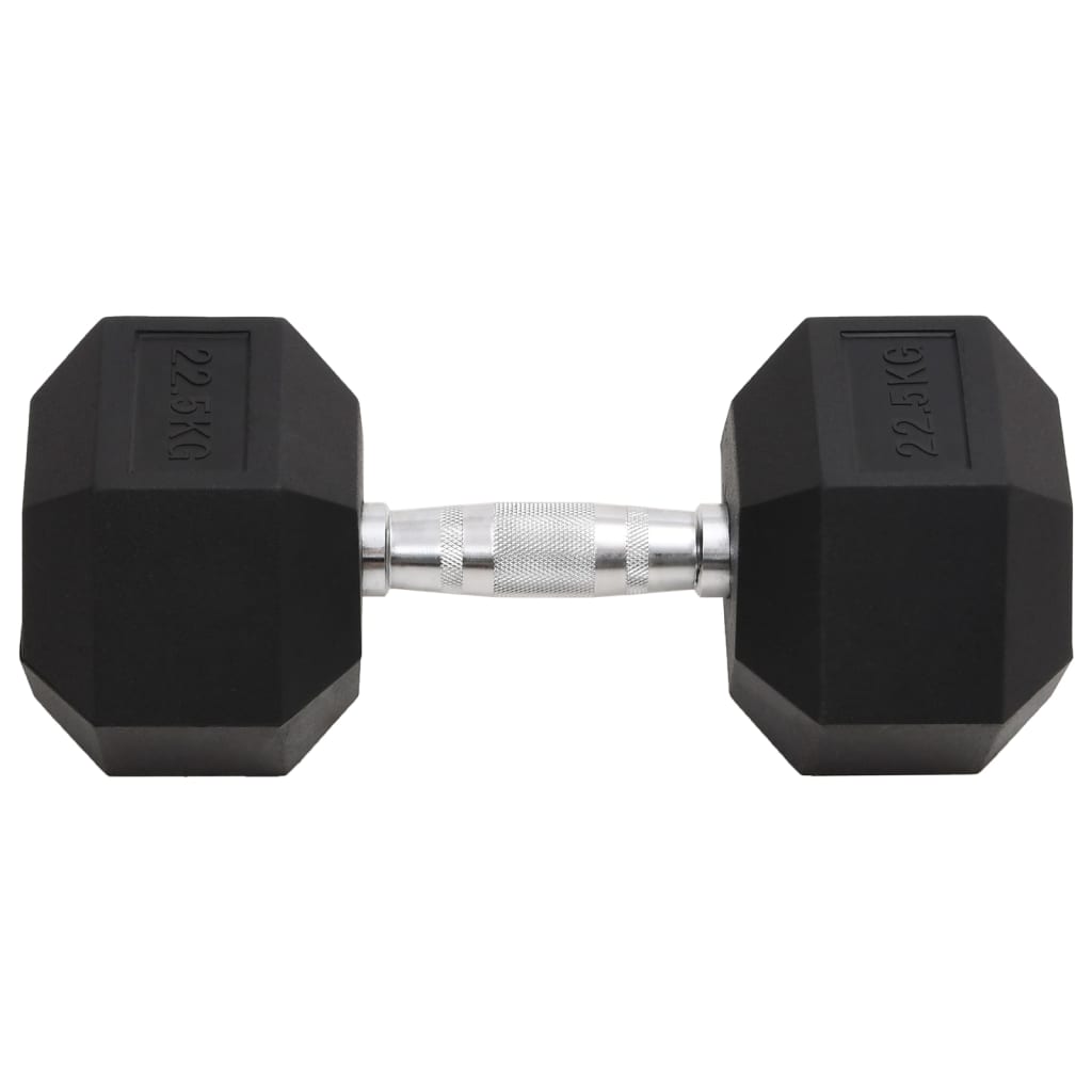Vidaxl -Halter 22,5 kg Gusseisen