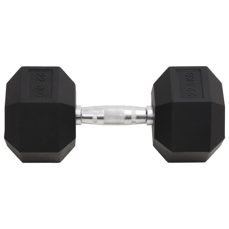 Vidaxl -Halter 22,5 kg Gusseisen