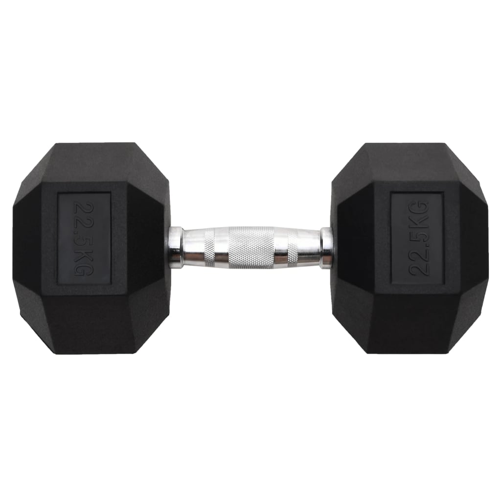 Vidaxl -Halter 22,5 kg Gusseisen