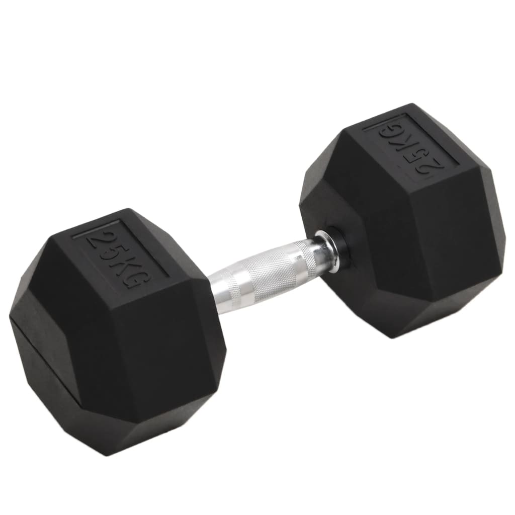 Vidaxl -Halter 25 kg Gusseisen