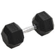 Vidaxl -Halter 25 kg Gusseisen