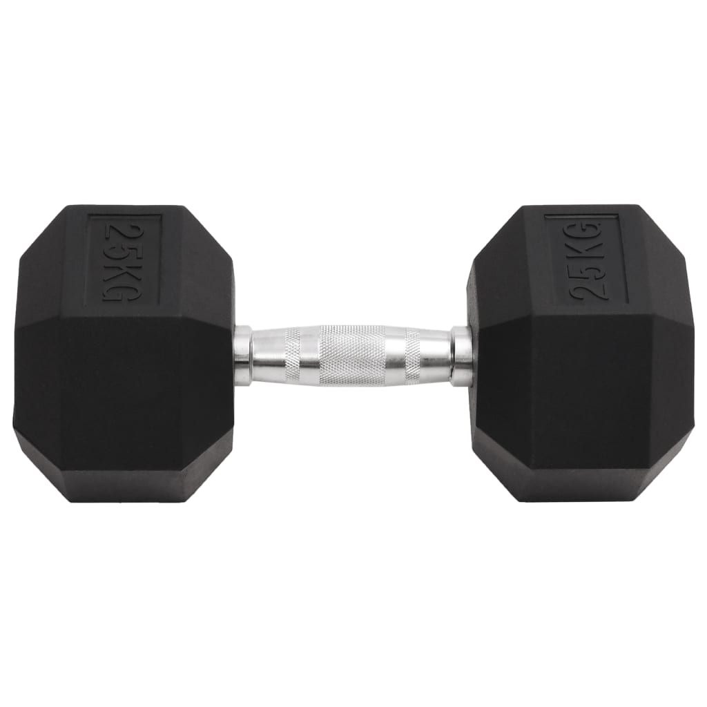 Vidaxl -Halter 25 kg Gusseisen