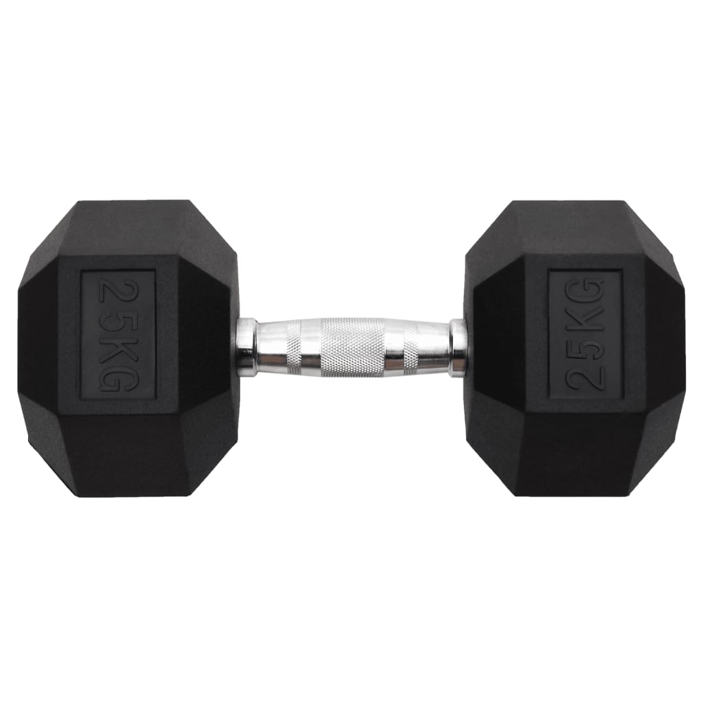 Vidaxl -Halter 25 kg Gusseisen