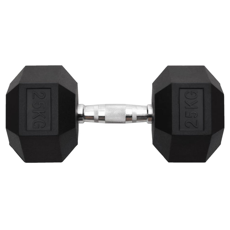 Vidaxl -Halter 25 kg Gusseisen