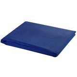 VIDAXL -Hintergrund ohne Standard -Chromakey 300x300 cm Baumwollblau - afbeelding 1