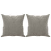 Vidaxl Dekorative Kissen 2 ST 40x40 cm Samt hellgrau